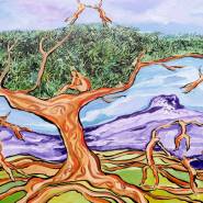 19 Mediterranee Les Papillons